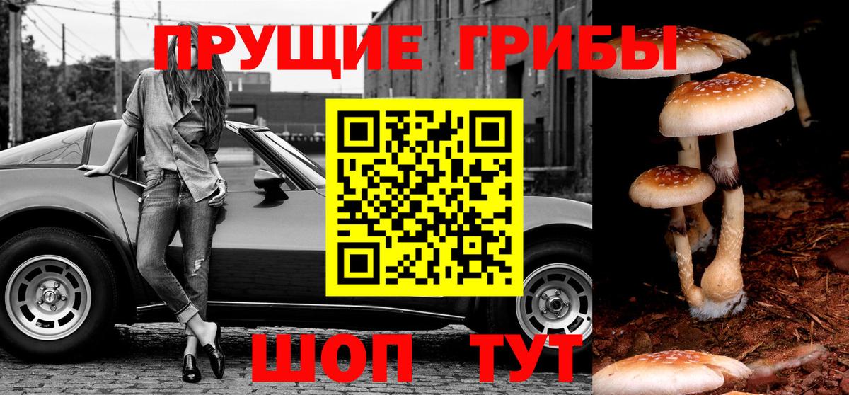 Псилоцибиновые грибы мицелий  Вход с VPN  Псилоцибиновые грибы мухоморы  Изобильный 
